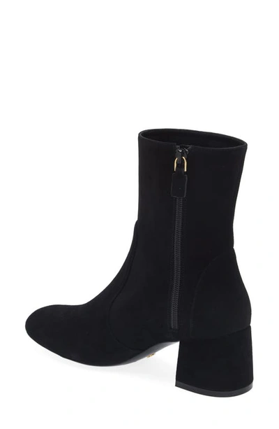 Shop Stuart Weitzman Flareblock 60 Zip Bootie In Black Suede