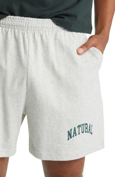 Shop Museum Of Peace And Quiet Natural Graphic Sweat Shorts In Heather