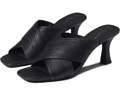 Shop Seychelles Fleet Heels Sandal In Black