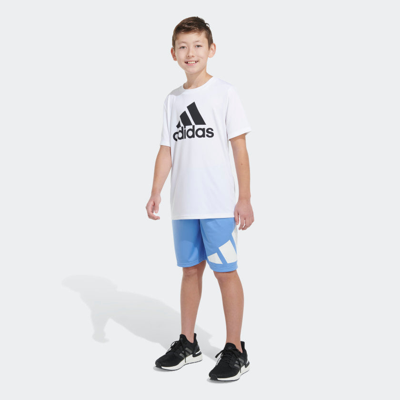 Shop Adidas Originals Kids' Adidas Performance Short In Multi