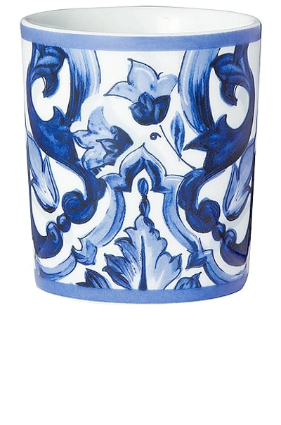 Shop Dolce & Gabbana Casa Mediterraneo Foglie Wine Glass In Blue & White