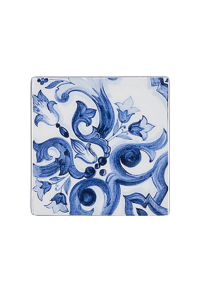 Shop Dolce & Gabbana Casa Mediterraneo Coaster In Blue & White