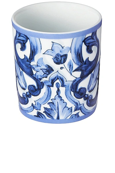 Shop Dolce & Gabbana Casa Mediterraneo Foglie Wine Glass In Blue & White