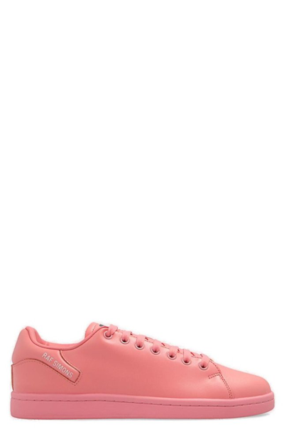 Shop Raf Simons Orion Lace In Pink