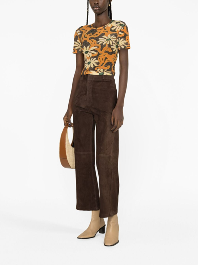 Shop Arma Flared-leg Suede Trousers In Brown