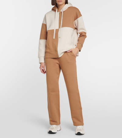 Shop 's Max Mara Damiana Cotton-blend Pants In Brown