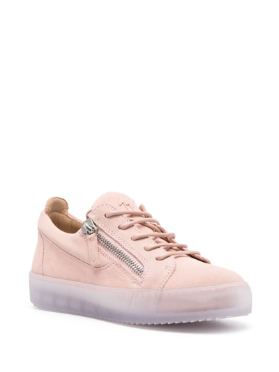 Shop Giuseppe Zanotti Zip-detail Leather Low-top Sneakers In Pink