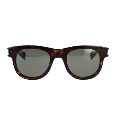 Saint Laurent Eyewear Sunglasses In Havana