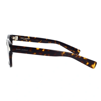 Saint Laurent Eyewear Sunglasses In Havana