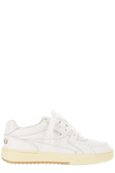 Shop Palm Angels University Low In White