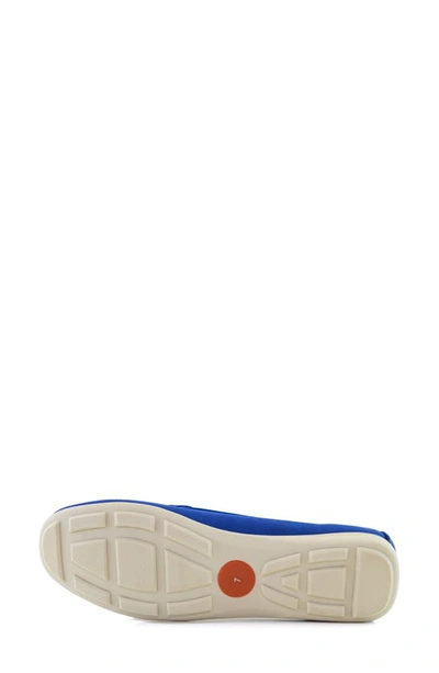 Shop Driver Club Usa Nashville Embroidered Driving Loafer In Royal Nubuck/ White Sole