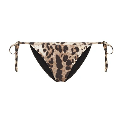 Shop Dolce & Gabbana String Bikini Bottoms In Leo_new