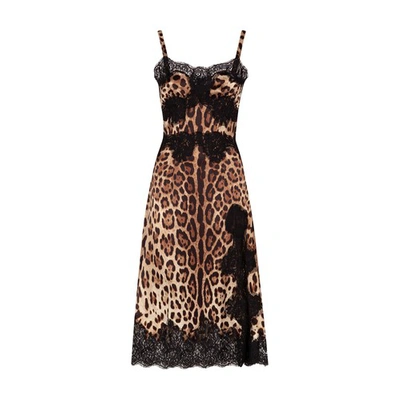 Shop Dolce & Gabbana Satin Midi Lingerie-style Dress With Lace Trims In Leo_new