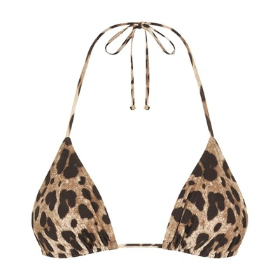 Shop Dolce & Gabbana Triangle Bikini Top In Leo_new