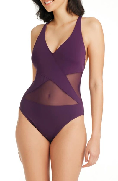 Shop Bleu By Rod Beattie Don't Mesh With Me Mio One-piece Swimsuit In Fig