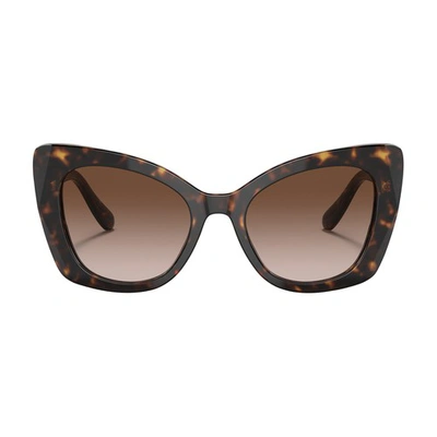 Shop Dolce & Gabbana Butterfly Sunglasses In Havana_gradient_brown