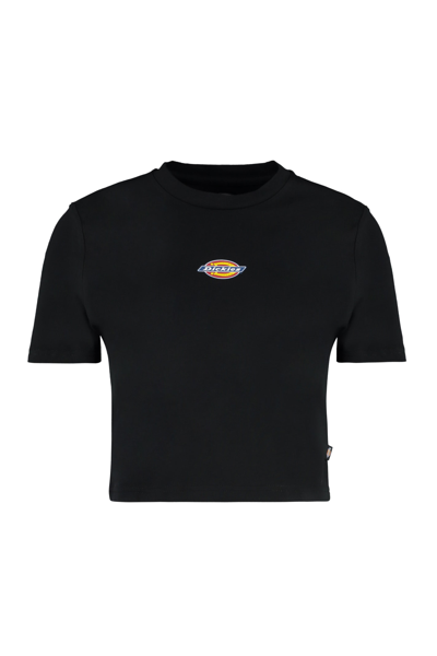 Shop Dickies Maple Valley Logo Detail Cropped T-shirt In Black