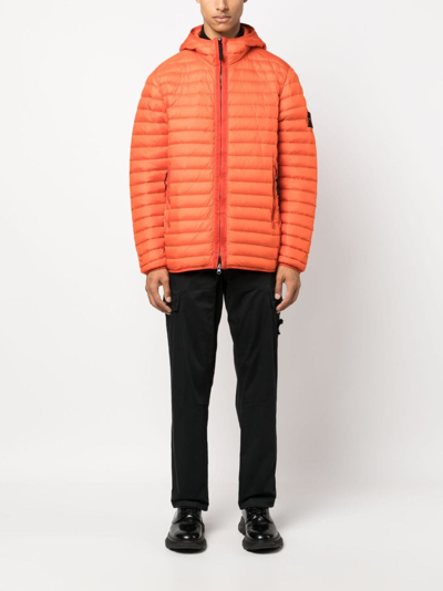 Shop Stone Island Compass-patch Padded Jacket In Orange