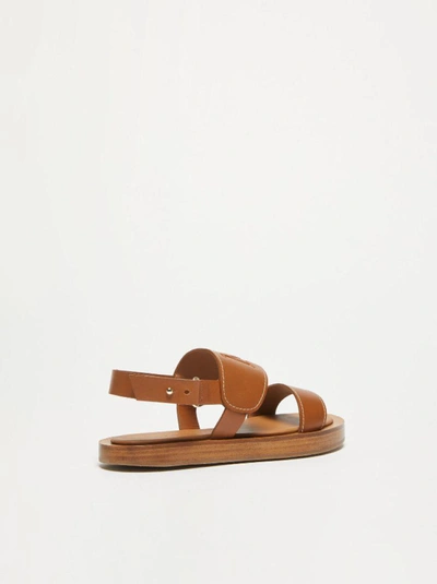 Shop Max Mara Sandals In Leather