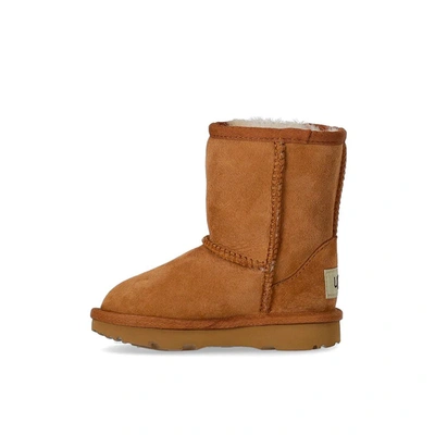 Shop Ugg Baby Classic Ii Chestnut Boot In Brown