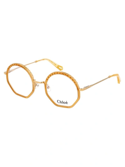 Shop Chloé Chloe Sunglasses In 771 Honey
