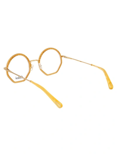 Shop Chloé Chloe Sunglasses In 771 Honey