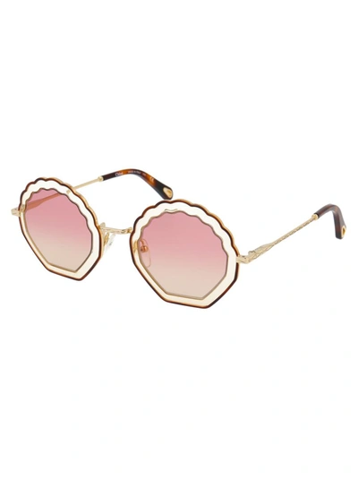 Shop Chloé Chloe Sunglasses In 257 Havana Sand/gradient Pink