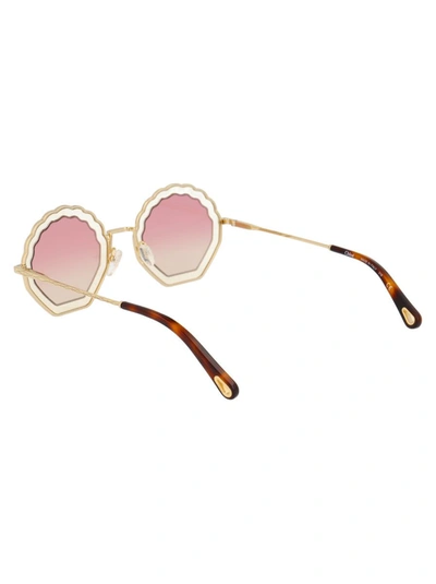 Shop Chloé Chloe Sunglasses In 257 Havana Sand/gradient Pink