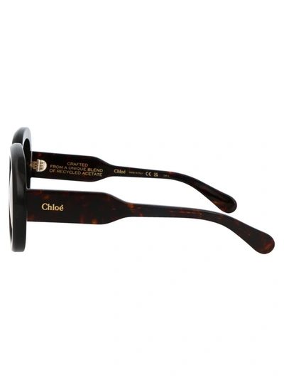 Shop Chloé Chloe Sunglasses In 002 Havana Havana Brown