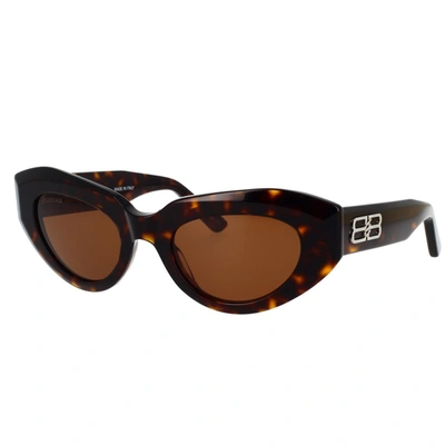 Balenciaga 52mm Cat Eye Sunglasses In Havana