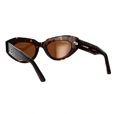 Balenciaga 52mm Cat Eye Sunglasses In Havana