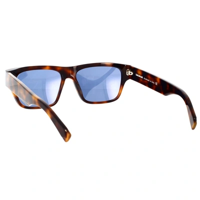 Bob Sdrunk Sunglasses In Tartarugato