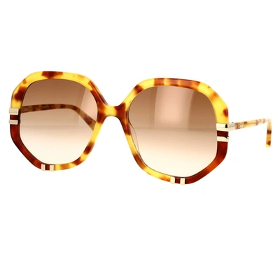 Chloé Havana/brown West Sunglasses In Havana