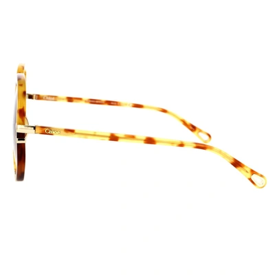 Chloé Havana/brown West Sunglasses In Havana