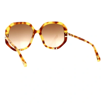 Chloé Havana/brown West Sunglasses In Havana