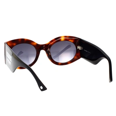 Shop Dsquared2 Sunglasses In Havana