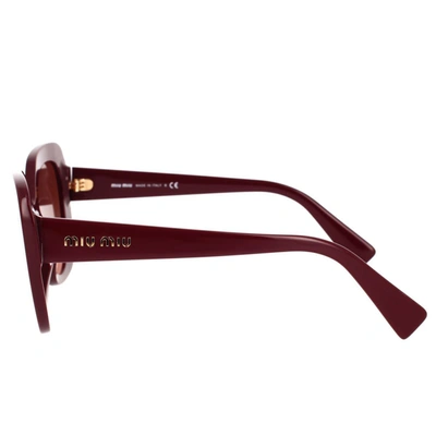 Shop Miu Miu Eyewear Sunglasses In Bordeaux