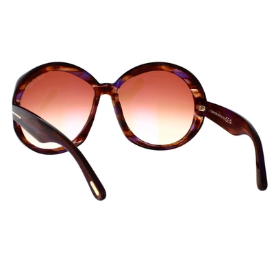 Tom Ford Eyewear Sunglasses In Havana