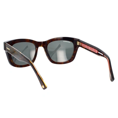 Dsquared2 Sunglasses In Havana