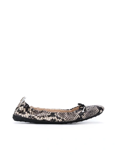 Shop Tod's Ballerina Flat Laccetto In Multiple Colors