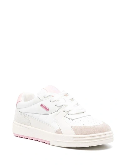 Shop Palm Angels Palm University Leather Sneakers In Pink