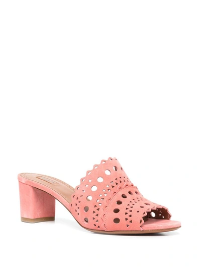 Shop Alaïa Vienne Leather Mules In Pink
