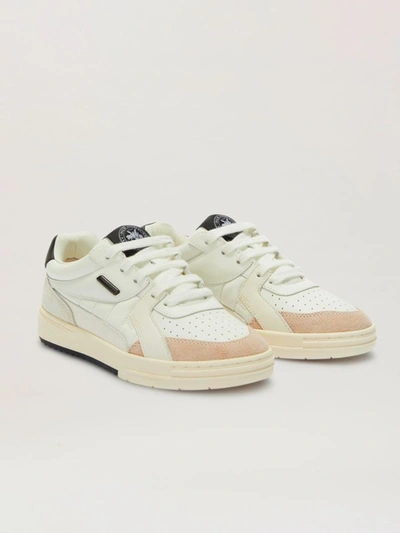 Shop Palm Angels Palm University Leather Sneakers In Black