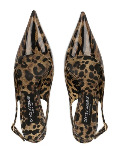 Shop Dolce & Gabbana Slingback Pumps Shoes In Multicolour