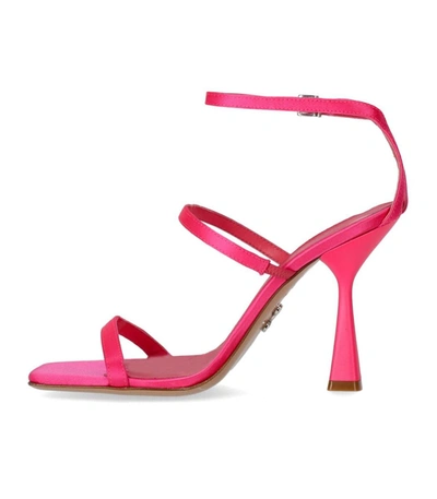 Shop Sergio Levantesi Telen Fuchsia Heeled Sandal In Fucsia