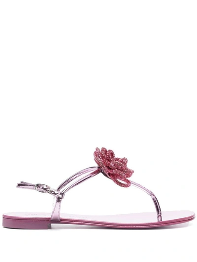 Shop Giuseppe Zanotti Jewel Leather Sandals In Pink