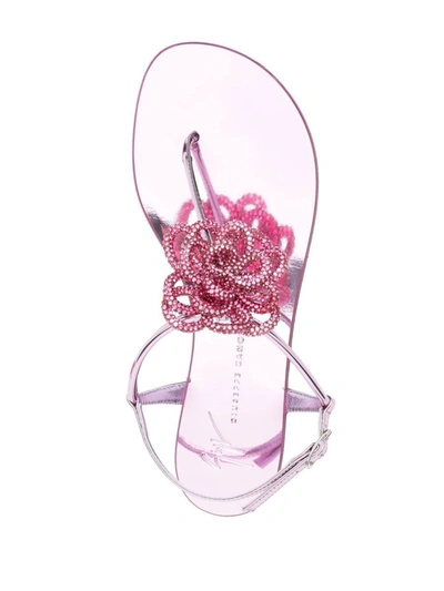 Shop Giuseppe Zanotti Jewel Leather Sandals In Pink
