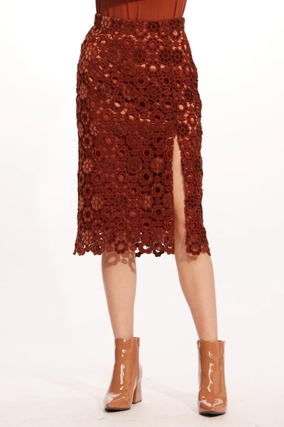 Shop Eva Franco Brina Skirt In Brown