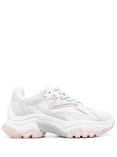 Shop Ash White And Pink 'addict' Sneakers With Inserts In Leather Woman