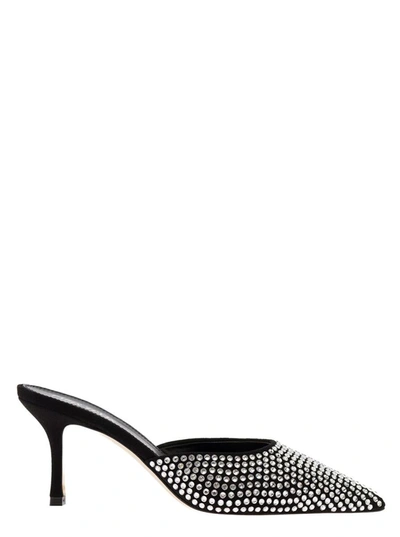 Shop Paris Texas 'hollywood' Black Pointed Mules With Rhinestone Embellishment In Leather Woman
